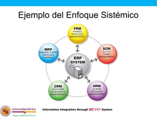 Eq 1 enfoque sistemico