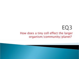How does a tiny cell effect the larger organism/community/planet?  