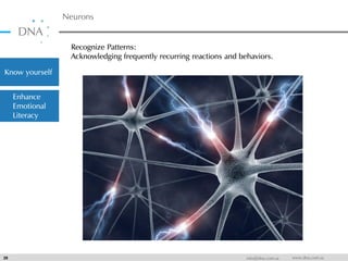 Neurons
29 info@dna.com.sa www.dna.com.sa
Recognize Patterns:
Acknowledging frequently recurring reactions and behaviors.
Know yourself
Enhance
Emotional
Literacy
 