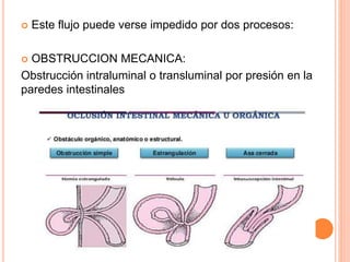  Este flujo puede verse impedido por dos procesos:
 OBSTRUCCION MECANICA:
Obstrucción intraluminal o transluminal por presión en la
paredes intestinales
 