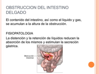 OBSTRUCCION DEL INTESTINO
DELGADO
El contenido del intestino, así como el liquido y gas,
se acumulan a la altura de la obstrucción.
FISIOPATOLOGIA
La distención y la retención de líquidos reducen la
absorción de los mismos y estimulan la secreción
gástrica.
 