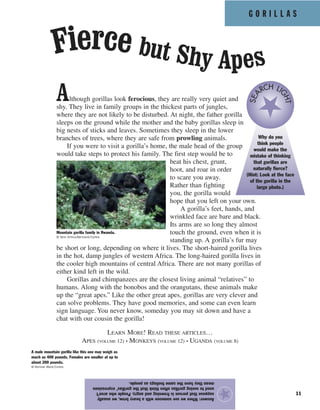 G O R I L L A S
11
Although gorillas look ferocious, they are really very quiet and
shy. They live in family groups in the thickest parts of jungles,
where they are not likely to be disturbed. At night, the father gorilla
sleeps on the ground while the mother and the baby gorillas sleep in
big nests of sticks and leaves. Sometimes they sleep in the lower
branches of trees, where they are safe from prowling animals.
If you were to visit a gorilla’s home, the male head of the group
would take steps to protect his family. The first step would be to
beat his chest, grunt,
hoot, and roar in order
to scare you away.
Rather than fighting
you, the gorilla would
hope that you left on your own.
A gorilla’s feet, hands, and
wrinkled face are bare and black.
Its arms are so long they almost
touch the ground, even when it is
standing up. A gorilla’s fur may
be short or long, depending on where it lives. The short-haired gorilla lives
in the hot, damp jungles of western Africa. The long-haired gorilla lives in
the cooler high mountains of central Africa. There are not many gorillas of
either kind left in the wild.
Gorillas and chimpanzees are the closest living animal “relatives” to
humans. Along with the bonobos and the orangutans, these animals make
up the “great apes.” Like the other great apes, gorillas are very clever and
can solve problems. They have good memories, and some can even learn
sign language. You never know, someday you may sit down and have a
chat with our cousin the gorilla!
LEARN MORE! READ THESE ARTICLES…
APES (VOLUME 12) • MONKEYS (VOLUME 12) • UGANDA (VOLUME 8)
Answer:Whenweseesomeonewithaheavybrow,weusually
supposethatpersonisfrowningandangry.Peoplewhoaren’t
usedtoseeinggorillasoftenthinkthatthegorillas’expressions
meantheyhavethesamefeelingsaspeople.
★
Fierce but Shy Apes
A male mountain gorilla like this one may weigh as
much as 400 pounds. Females are smaller at up to
about 200 pounds.
© Kennan Ward/Corbis
Mountain gorilla family in Rwanda.
© Yann Arthus-Bertrand/Corbis
Why do you
think people
would make the
mistake of thinking
that gorillas are
naturally fierce?
(Hint: Look at the face
of the gorilla in the
large photo.)
SEA
RCH LI
GHT
 