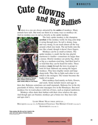 M O N K E Y S
15
Visitors to a zoo are always attracted by the antics of monkeys. Many
animals have tails. But none use them in as many ways as monkeys do.
And no monkey uses its tail as cleverly as the spider monkey.
The furry spider monkey is the champion
acrobat of the monkey world. Its long arms help
it swing through trees. Its tail is skinny, long,
and very strong. It can reach almost all the way
around a thick tree trunk. The tail holds onto the
tree like a hand, though it doesn’t have fingers.
Monkeys can be as small as kittens. The
spider monkey is small, but the tiny playful
marmoset is smaller—sometimes no larger than
a mouse. Howler monkeys are pretty big, about
as big as a medium-sized dog. And their howl is
so loud that they can be heard for miles. These
monkeys roam through the trees in groups to
look for food. Baboons are among the largest
monkeys. They have doglike snouts and large
sharp teeth. They like to fight each other to see
which is the strongest. The winner becomes the
leader of its pack.
Most monkeys feed mainly on fruits, flowers,
and seeds. Some include insects and eggs in
their diet. Baboons sometimes eat small mammals. Baboons live in the dry
grasslands of Africa. And some macaques live in the Himalayas. But most
monkeys live in warm places with lots of trees, such as tropical rainforests.
Monkeys often share their habitat with their close relatives the apes.
And though apes are brainier, monkeys got a bonus too: they have tails
and apes don’t.
Answer:c)tropicalrainforests.
★
©KennanWard/Corbis©KevinSchafer/Corbis
Cute Clownsand Big Bullies
(Top) Family of baboons in Tanzania,
Africa; (bottom) Central American
spider monkey sitting on a tree branch.
Patas monkeys like this one live in bands in the
grass and scrub regions of Central America.
© Kennan Ward/Corbis
LEARN MORE! READ THESE ARTICLES…
MACAQUES (VOLUME 12) • A NIGERIAN FOLKTALE: THE MONKEY COURT (VOLUME 5)
RAINFORESTS (VOLUME 1)
 