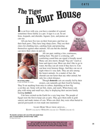 C A T S
21
If a cat lives with you, you have a member of a proud,
sometimes fierce family as a pet. A tiger is a cat. So are
lions, leopards, and cheetahs. Jaguars, lynx, and pumas are
cats too.
All cats have five toes on their front paws and four on
their back paws. They have long sharp claws. They use their
claws for climbing trees, catching food, and protecting
themselves against other animals. All cats but the cheetah
can move their claws in and out.
All cats purr, making a low, continuous,
rattling hum. The purr is a relaxing, self-
comforting sound that can signal a friendly mood.
Many cats also meow, though “big cats” (such as
lions and tigers) roar. Most cats don’t like to go in
water, but they can all swim if they have to. Cats
can hear even faraway things. And they can see at
night when it’s very dark. They are also among
the fastest animals. As a matter of fact, the
cheetah can run faster than any other animal, but
only for a short distance.
Though domestic cats are usually fed by their
owners, cats naturally get their food by hunting.
They’ll eat anything from mice to zebras, depending on how big
a cat they are. Some will eat fish, clams, and snails. When house cats
play with string and small toys, they’re displaying their ancient family
hunting instinct.
Cats have existed on the Earth for a very long time. The people of
Egypt were the first to keep cats as pets. They gave them milk in gold
saucers and made statues of cats. When cats died, they were often buried in
special graveyards or even made into mummies!
LEARN MORE! READ THESE ARTICLES…
EGYPT (VOLUME 8) • OCELOTS (VOLUME 12) • TIGERS (VOLUME 12)
Answer:Bothlionsandhousecatseatmeat.Theyalsobothpurr,
havefivetoesontheirfrontfeet,andareveryquick.Butcatscan
liveinyourhouse.Lionsaretoobigandtoowildtobeapet.
★
What’s one
thing that house
cats have in
common with lions?
How are they
different?
SEA
RCH LI
GHT
The Tiger
in Your House
Pet cat being cuddled.
© Jose Luis Pelaez, Inc./Corbis
The domestic cat (house cat) is one of the most popular house
pets. In ancient Thailand, cats lived in kings’ castles.
© Craig Lovell/Corbis
 