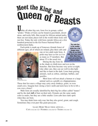 24
Unlike all other big cats, lions live in groups, called
“prides.” Prides of lions can be found in grasslands, desert
areas, and rocky hills. But except for African animal parks,
there are not many places left in the world where lions still
run free. Today the only wild lions outside Africa are a few
hundred protected in the Gir Forest National Park of
northwestern India.
Each pride is made up of lionesses (female lions) of
different ages, all of which are related, plus their cubs and
one or two adult male lions. A
pride may have as few as 4 or
as many as 37 members. But
about 15 is the usual size.
During the day lions lie
in the shade or climb trees and rest on the
branches. But lions become very active at night.
Like other cats, they can see well in dim light
and like to hunt in the dark. Lions hunt grazing
animals, such as zebras, antelope, buffalo, and
gazelles.
Most lions will not attack a human or a large
animal such as a giraffe or a hippopotamus.
Those that live near a village may carry away donkeys, goats, or even
small cows. Imagine how strong a lion’s teeth and neck have to be to lift a
cow over a fence!
Male lions are usually identified by their big fur collars called “manes”
and by the dark tuft of hair on their tails. Females are the same sandy
color as males, but they are a little smaller. Lion cubs have dark spots
when they are born.
You may think lions only roar, but they also growl, grunt, and cough.
Sometimes they even purr like giant pussycats.
LEARN MORE! READ THESE ARTICLES…
CATS (VOLUME 12) • NAMIBIA (VOLUME 8) • TIGERS (VOLUME 12)
Meet the King and
Queen of Beasts
Male lion.
© Randy Wells/Corbis
The male lion
in the smaller
photo has a big
shaggy mane.
Why do you think
male lions have manes?
(Hint: Male lions
guard and protect the
pride’s territory.)
SEA
RCH LI
GHT
 