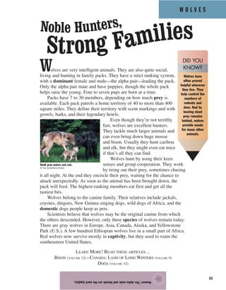 W O L V E S
31
Wolves are very intelligent animals. They are also quite social,
living and hunting in family packs. They have a strict ranking system,
with a dominant female and male—the alpha pair—leading the pack.
Only the alpha pair mate and have puppies, though the whole pack
helps raise the young. Four to seven pups are born at a time.
Packs have 7 to 30 members, depending on how much prey is
available. Each pack patrols a home territory of 40 to more than 400
square miles. They define their territory with scent markings and with
growls, barks, and their legendary howls.
Even though they’re not terribly
fast, wolves are excellent hunters.
They tackle much larger animals and
can even bring down huge moose
and bison. Usually they hunt caribou
and elk, but they might even eat mice
if that’s all they can find.
Wolves hunt by using their keen
senses and group cooperation. They work
by tiring out their prey, sometimes chasing
it all night. At the end they encircle their prey, waiting for the chance to
attack unexpectedly. As soon as the animal has been brought down, the
pack will feed. The highest-ranking members eat first and get all the
tastiest bits.
Wolves belong to the canine family. Their relatives include jackals,
coyotes, dingoes, New Guinea singing dogs, wild dogs of Africa, and the
domestic dogs people keep as pets.
Scientists believe that wolves may be the original canine from which
the others descended. However, only three species of wolves remain today.
There are gray wolves in Europe, Asia, Canada, Alaska, and Yellowstone
Park (U.S.). A few hundred Ethiopian wolves live in a small part of Africa.
Red wolves now survive mostly in captivity, but they used to roam the
southeastern United States.
LEARN MORE! READ THESE ARTICLES…
BISON (VOLUME 12) • CANADA: LAND OF LONG WINTERS (VOLUME 9)
DOGS (VOLUME 12)
Answer:Thealphamaleandfemalearethepackleaders.
★
Noble Hunters,
Strong Families
Adult gray wolves and cub.
© Tom Brakefield/Corbis
Wolves have
often proved
helpful wherever
they live. They
help control the
numbers of
rodents and
deer. And by
leaving dead
prey remains
behind, wolves
provide meals
for many other
animals.
DID YOU
KNOW?
 