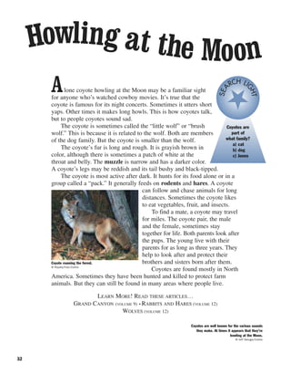 32
Alone coyote howling at the Moon may be a familiar sight
for anyone who’s watched cowboy movies. It’s true that the
coyote is famous for its night concerts. Sometimes it utters short
yaps. Other times it makes long howls. This is how coyotes talk,
but to people coyotes sound sad.
The coyote is sometimes called the “little wolf” or “brush
wolf.” This is because it is related to the wolf. Both are members
of the dog family. But the coyote is smaller than the wolf.
The coyote’s fur is long and rough. It is grayish brown in
color, although there is sometimes a patch of white at the
throat and belly. The muzzle is narrow and has a darker color.
A coyote’s legs may be reddish and its tail bushy and black-tipped.
The coyote is most active after dark. It hunts for its food alone or in a
group called a “pack.” It generally feeds on rodents and hares. A coyote
can follow and chase animals for long
distances. Sometimes the coyote likes
to eat vegetables, fruit, and insects.
To find a mate, a coyote may travel
for miles. The coyote pair, the male
and the female, sometimes stay
together for life. Both parents look after
the pups. The young live with their
parents for as long as three years. They
help to look after and protect their
brothers and sisters born after them.
Coyotes are found mostly in North
America. Sometimes they have been hunted and killed to protect farm
animals. But they can still be found in many areas where people live.
LEARN MORE! READ THESE ARTICLES…
GRAND CANYON (VOLUME 9) • RABBITS AND HARES (VOLUME 12)
WOLVES (VOLUME 12)
Coyote roaming the forest.
© Royalty-Free/Corbis
Coyotes are well known for the various sounds
they make. At times it appears that they’re
howling at the Moon.
© Jeff Vanuga/Corbis
Coyotes are
part of
what family?
a) cat
b) dog
c) Jones
SEA
RCH LI
GHT
Howling at the Moon
 