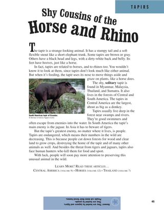 T A P I R S
45
The tapir is a strange-looking animal. It has a stumpy tail and a soft
flexible snout like a short elephant trunk. Some tapirs are brown or gray.
Others have a black head and legs, with a dirty-white back and belly. Its
feet have hooves, just like a horse.
In fact, tapirs are related to horses, and to rhinos too. You wouldn’t
know it to look at them, since tapirs don’t look much like either animal.
But when it’s feeding, the tapir uses its nose to move things aside and
graze on plants, like a horse does.
The shy, solitary tapir is
found in Myanmar, Malaysia,
Thailand, and Sumatra. It also
lives in the forests of Central and
South America. The tapirs in
Central America are the largest,
about as big as a donkey.
Tapirs usually live deep in the
forest near swamps and rivers.
They’re good swimmers and
often escape from enemies into the water. In South America the tapir’s
main enemy is the jaguar. In Asia it has to beware of tigers.
But the tapir’s greatest enemy, no matter where it lives, is people.
Tapirs are endangered, which means their numbers in the wild are
decreasing. This is because people cut down forests for wood and clear
land to grow crops, destroying the home of the tapir and of many other
animals as well. And besides the threat from tigers and jaguars, tapirs also
face human hunters who kill them for food and sport.
With luck, people will soon pay more attention to preserving this
unusual animal in the wild.
LEARN MORE! READ THESE ARTICLES…
CENTRAL AMERICA (VOLUME 9) • HORSES (VOLUME 12) • THAILAND (VOLUME 7)
Answer:Theyarehuntedbyjaguarsandtigers.
Theyarehuntedbypeople.
Peoplecutdowntheirforesthomes.
★
Horse and Rhino
Shy Cousins of the
South American tapir of Ecuador.
© Michael & Patricia Fogden/Corbis
 