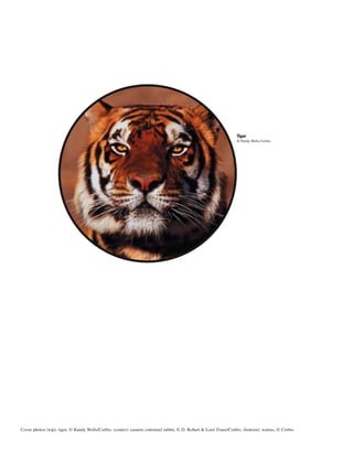 Tiger
© Randy Wells/Corbis
Cover photos (top): tiger, © Randy Wells/Corbis; (center): eastern cottontail rabbit, © D. Robert & Lorri Franz/Corbis; (bottom): walrus, © Corbis
 