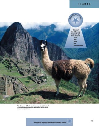 L L A M A S
63
Answer:Llamasprovidepeoplewithallofthesethings.
★
This llama, one of Peru’s great treasures, stands in front of
a man-made Peruvian treasure, the ruins of Machu Picchu.
© Blaine Harrington III/Corbis
Which of
the following
do people get
from llamas?
- meat
- milk
- wool
- fuel
- transportation
SEA
RCH LI
GHT
 