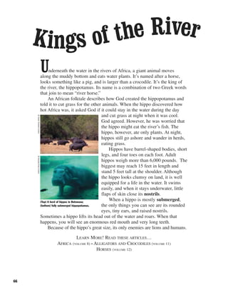 66
Underneath the water in the rivers of Africa, a giant animal moves
along the muddy bottom and eats water plants. It’s named after a horse,
looks something like a pig, and is larger than a crocodile. It’s the king of
the river, the hippopotamus. Its name is a combination of two Greek words
that join to mean “river horse.”
An African folktale describes how God created the hippopotamus and
told it to cut grass for the other animals. When the hippo discovered how
hot Africa was, it asked God if it could stay in the water during the day
and cut grass at night when it was cool.
God agreed. However, he was worried that
the hippo might eat the river’s fish. The
hippo, however, ate only plants. At night,
hippos still go ashore and wander in herds,
eating grass.
Hippos have barrel-shaped bodies, short
legs, and four toes on each foot. Adult
hippos weigh more than 6,000 pounds. The
biggest may reach 15 feet in length and
stand 5 feet tall at the shoulder. Although
the hippo looks clumsy on land, it is well
equipped for a life in the water. It swims
easily, and when it stays underwater, little
flaps of skin close its nostrils.
When a hippo is mostly submerged,
the only things you can see are its rounded
eyes, tiny ears, and raised nostrils.
Sometimes a hippo lifts its head out of the water and roars. When that
happens, you will see an enormous red mouth and very long teeth.
Because of the hippo’s great size, its only enemies are lions and humans.
LEARN MORE! READ THESE ARTICLES…
AFRICA (VOLUME 8) • ALLIGATORS AND CROCODILES (VOLUME 11)
HORSES (VOLUME 12)
(Top) A herd of hippos in Botswana;
(bottom) fully submerged hippopotamus.
©GalenRowell/Corbis©Royalty-Free/Corbis
Kings of the River
 