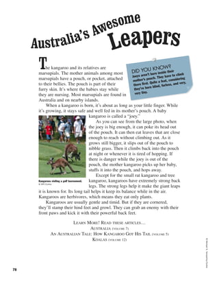 ©MichaelS.Yamashita/Corbis
78
The kangaroo and its relatives are
marsupials. The mother animals among most
marsupials have a pouch, or pocket, attached
to their bellies. The pouch is part of their
furry skin. It’s where the babies stay while
they are nursing. Most marsupials are found in
Australia and on nearby islands.
When a kangaroo is born, it’s about as long as your little finger. While
it’s growing, it stays safe and well fed in its mother’s pouch. A baby
kangaroo is called a “joey.”
As you can see from the large photo, when
the joey is big enough, it can poke its head out
of the pouch. It can then eat leaves that are close
enough to reach without climbing out. As it
grows still bigger, it slips out of the pouch to
nibble grass. Then it climbs back into the pouch
at night or whenever it is tired of hopping. If
there is danger while the joey is out of the
pouch, the mother kangaroo picks up her baby,
stuffs it into the pouch, and hops away.
Except for the small rat kangaroo and tree
kangaroo, kangaroos have extremely strong back
legs. The strong legs help it make the giant leaps
it is known for. Its long tail helps it keep its balance while in the air.
Kangaroos are herbivores, which means they eat only plants.
Kangaroos are usually gentle and timid. But if they are cornered,
they’ll stamp their hind feet and growl. They can grab an enemy with their
front paws and kick it with their powerful back feet.
LEARN MORE! READ THESE ARTICLES…
AUSTRALIA (VOLUME 7)
AN AUSTRALIAN TALE: HOW KANGAROO GOT HIS TAIL (VOLUME 5)
KOALAS (VOLUME 12)
Australia’s Awesome
Leapers
Kangaroos visiting a golf tournament.
© AFP/Corbis
DID YOU KNOW?
Joeys aren’t born inside their
mother’s pouch. They have to climb
there first. Quite a feat, considering
they’re born blind, furless, and very,
very tiny.
 