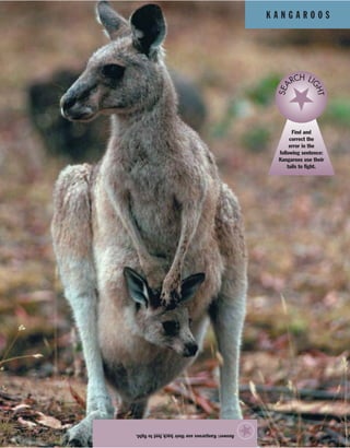 K A N G A R O O S
Answer:Kangaroosusetheirbackfeettofight.
★
Find and
correct the
error in the
following sentence:
Kangaroos use their
tails to fight.
SEA
RCH LI
GHT
 