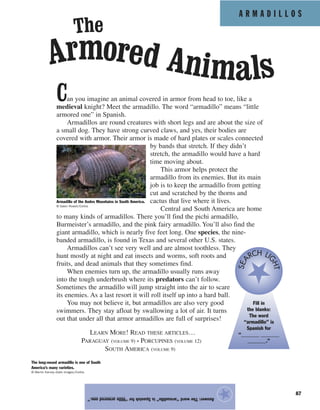 A R M A D I L L O S
87
Can you imagine an animal covered in armor from head to toe, like a
medieval knight? Meet the armadillo. The word “armadillo” means “little
armored one” in Spanish.
Armadillos are round creatures with short legs and are about the size of
a small dog. They have strong curved claws, and yes, their bodies are
covered with armor. Their armor is made of hard plates or scales connected
by bands that stretch. If they didn’t
stretch, the armadillo would have a hard
time moving about.
This armor helps protect the
armadillo from its enemies. But its main
job is to keep the armadillo from getting
cut and scratched by the thorns and
cactus that live where it lives.
Central and South America are home
to many kinds of armadillos. There you’ll find the pichi armadillo,
Burmeister’s armadillo, and the pink fairy armadillo. You’ll also find the
giant armadillo, which is nearly five feet long. One species, the nine-
banded armadillo, is found in Texas and several other U.S. states.
Armadillos can’t see very well and are almost toothless. They
hunt mostly at night and eat insects and worms, soft roots and
fruits, and dead animals that they sometimes find.
When enemies turn up, the armadillo usually runs away
into the tough underbrush where its predators can’t follow.
Sometimes the armadillo will jump straight into the air to scare
its enemies. As a last resort it will roll itself up into a hard ball.
You may not believe it, but armadillos are also very good
swimmers. They stay afloat by swallowing a lot of air. It turns
out that under all that armor armadillos are full of surprises!
LEARN MORE! READ THESE ARTICLES…
PARAGUAY (VOLUME 9) • PORCUPINES (VOLUME 12)
SOUTH AMERICA (VOLUME 9)
Answer:Theword“armadillo”isSpanishfor“littlearmoredone.”
★
The
Armored Animals
The long-nosed armadillo is one of South
America’s many varieties.
© Martin Harvey–Gallo Images/Corbis
Armadillo of the Andes Mountains in South America.
© Galen Rowell/Corbis
Fill in
the blanks:
The word
“armadillo” is
Spanish for
“_______ _______
_______.”
SEA
RCH LI
GHT
 