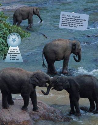 90
An African
elephant can
weigh as much as
a) a whale.
b) a bus.
c) a big snail.
SEA
RCH LI
GHT
DID YOU KNOW?The famous ancient general Hannibal,
of Carthage in North Africa, led abattle company that included 37elephants into the Alps on his wayto fight the Roman army.
 