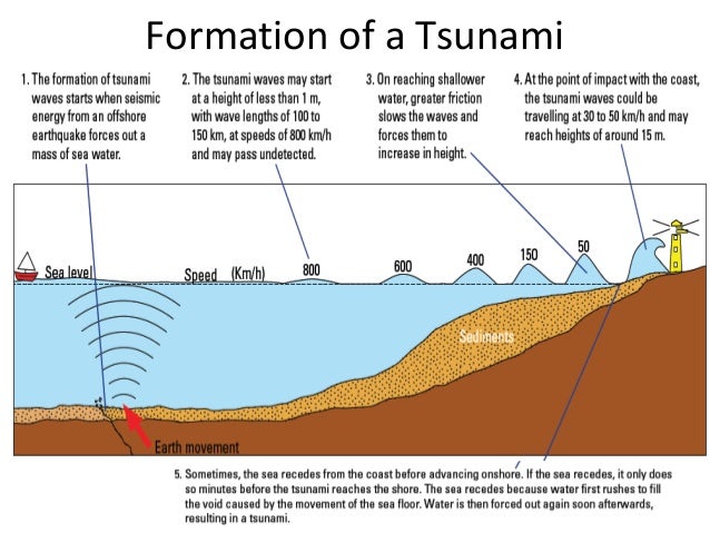 eq and tsunamis tsunami form