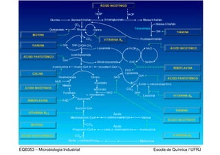 _________________________________________________________________________________
EQB353 – Microbiologia Industrial                           Escola de Química / UFRJ
 