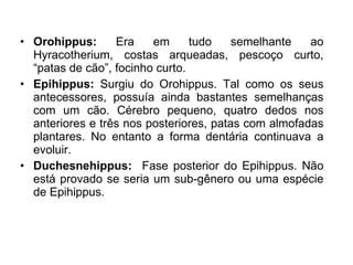 Orohippus:  Era em tudo semelhante ao Hyracotherium, costas arqueadas, pescoço curto, “patas de cão”, focinho curto. Epihippus:  Surgiu do Orohippus. Tal como os seus antecessores, possuía ainda bastantes semelhanças com um cão. Cérebro pequeno, quatro dedos nos anteriores e três nos posteriores, patas com almofadas plantares. No entanto a forma dentária continuava a evoluir. Duchesnehippus:  Fase posterior do Epihippus. Não está provado se seria um sub-gênero ou uma espécie de Epihippus. 