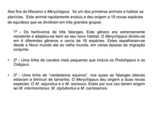 Nos fins do Mioceno o  Merychippus   foi um dos primeiros animais a habitar as planícies.  Este animal rapidamente evoluiu e deu origem a 19 novas espécies de equídeos que se dividiram em três grandes grupos: 1º - Os herbívoros de três falanges. Este gênero era extremamente resistente e adaptou-se bem ao seu novo habitat. O  Merychippus  dividiu-se em 4 diferentes gêneros e cerca de 16 espécies. Estes espalharam-se desde o Novo mundo até ao velho mundo, em várias épocas de migração conjunta. 2º - Uma linha de cavalos mais pequenos que incluía os  Protohippus  e os  Calippus . 3º - Uma linha de “verdadeiros equinos”, nos quais as falanges laterais estavam a diminuir de tamanho. O  Merychippus  deu origem a duas novas espécies: O  M. sejunctus  e o  M. isonesus . Estes por sua vez deram origem ao  M. intermontanus ,  M. stylodontus  e  M. carrizoensis . 