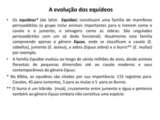 A evolução dos equídeos Os  equídeos*  (do latim  Equidae ) constituem uma família de mamíferos perissodátilos (o grupo inclui animais importantes para o homem como o cavalo e o jumento, e selvagens como as zebras. São ungulados  perissodáctilos  com um só dedo funcional). Atualmente esta família compreende apenas o gênero  Equus , onde se classificam o cavalo ( E. caballus ), jumento ( E. asinus ), a zebra ( Equus zebra ) e o burro** ( E. mullus ) por exemplo. A família  Equidae  evoluiu ao longo de vários milhões de anos, desde animais florestais de pequenas dimensões até ao cavalo moderno e seus contemporâneos do gênero  Equus. * Na Bíblia, os  equídeos  são citados por sua importância: 115 registros para: Cavalos, 45 para Jumentos, 5 para as mulas e 5  para os Burros. ** O burro é um híbrido  (muá), cruzamento entre jumento e égua e pertence também ao gênero  Equus  embora não constitua uma espécie. 