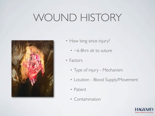 WOUND HISTORY
    •   How long since injury?

        •   ~6-8hrs ok to suture

    •   Factors

        •   Type of injury - Mechanism

        •   Location - Blood Supply/Movement

        •   Patient

        •   Contamination
 