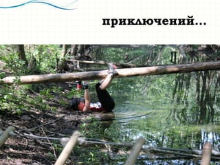 Сотрудничество
 