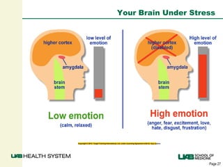 Page 27
Your Brain Under Stress
Copyright © 2013. Target Training International, Ltd. under Licensing Agreement with Dr. Izzy Justice
 