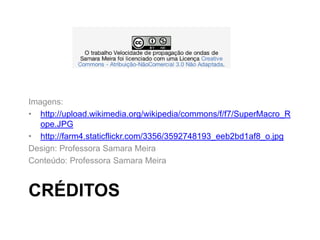 CRÉDITOS
Imagens:
• http://upload.wikimedia.org/wikipedia/commons/f/f7/SuperMacro_R
ope.JPG
• http://farm4.staticflickr.com/3356/3592748193_eeb2bd1af8_o.jpg
Design: Professora Samara Meira
Conteúdo: Professora Samara Meira
 