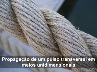 Propagação de um pulso transversal em
meios unidimensionais
 