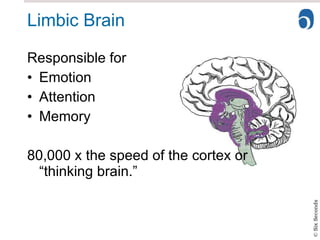Limbic Brain Responsible for  Emotion Attention Memory 80,000 x the speed of the cortex or “thinking brain.” 