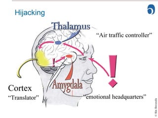 Hijacking Cortex “ Translator” “ emotional headquarters” “ Air traffic controller” 