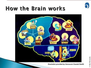 How the Brain works Illustration provided by Vancouver Coastal Health 