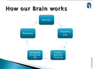How our Brain works 