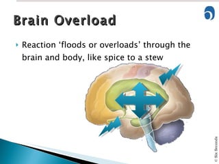 Brain Overload Reaction ‘floods or overloads’ through the brain and body, like spice to a stew 