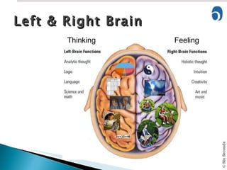 Left & Right Brain Thinking Feeling 