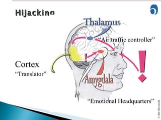 Hijacking Cortex “ Translator” “ Emotional Headquarters” “ Air traffic controller” 