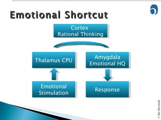 Emotional Shortcut Thalamus CPU Amygdala Emotional HQ Emotional Stimulation Response Cortex  Rational Thinking 