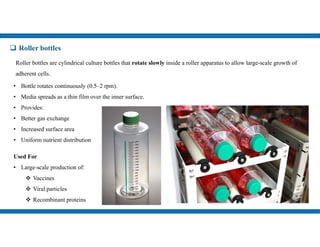 Comprehensive Overview of Cell Culture Techniques and Laboratory ...
