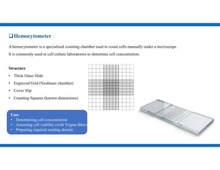 Comprehensive Overview of Cell Culture Techniques and Laboratory ...
