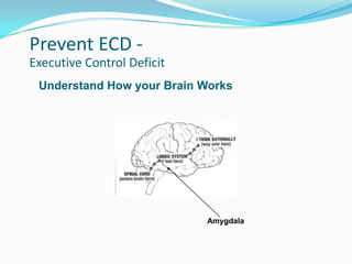 Prevent ECD -
Executive Control Deficit
Understand How your Brain Works
Amygdala
 