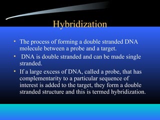Hybridization
• The process of forming a double stranded DNA
molecule between a probe and a target.
• DNA is double stranded and can be made single
stranded.
• If a large excess of DNA, called a probe, that has
complementarity to a particular sequence of
interest is added to the target, they form a double
stranded structure and this is termed hybridization.
 