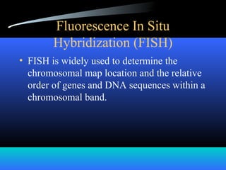 Fluorescence In Situ
Hybridization (FISH)
• FISH is widely used to determine the
chromosomal map location and the relative
order of genes and DNA sequences within a
chromosomal band.
 