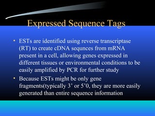 Expressed Sequence Tags
• ESTs are identified using reverse transcriptase
(RT) to create cDNA sequnces from mRNA
present in a cell, allowing genes expressed in
different tissues or environmental conditions to be
easily amplified by PCR for further study
• Because ESTs might be only gene
fragments(typically 3’ or 5’0, they are more easily
generated than entire sequence information
 