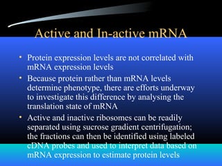 Active and In-active mRNA
• Protein expression levels are not correlated with
mRNA expression levels
• Because protein rather than mRNA levels
determine phenotype, there are efforts underway
to investigate this difference by analysing the
translation state of mRNA
• Active and inactive ribosomes can be readily
separated using sucrose gradient centrifugation;
the fractions can then be identified using labeled
cDNA probes and used to interpret data based on
mRNA expression to estimate protein levels
 