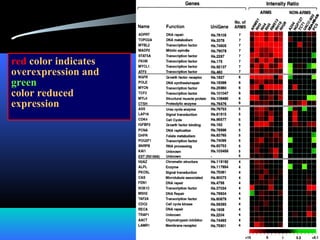 red color indicates
overexpression and
green
color reduced
expression
 