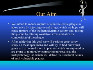 Our Aim
• We intend to induce rupture of atherosclerotic plaque in
apo-e mice by injecting several drugs, which we hope will
cause rupture of the the hemodynamic system and raising
the plaque by altering oxidative stress and alter the
composition of the plaque.
• After achieving this goal we will perform gene- array
study on these specimens and will try to find out which
genes are expressed more in plaques which are ruptured or
are prone to rupture, by comparing our results at the
histopathology lab which will define the structural details
of such vulnerable plaques.
 