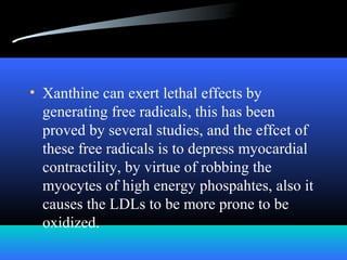 • Xanthine can exert lethal effects by
generating free radicals, this has been
proved by several studies, and the effcet of
these free radicals is to depress myocardial
contractility, by virtue of robbing the
myocytes of high energy phospahtes, also it
causes the LDLs to be more prone to be
oxidized.
 