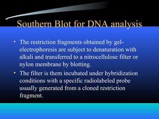 Southern Blot for DNA analysis
• The restriction fragments obtained by gel-
electrophoresis are subject to denaturation with
alkali and transferred to a nitrocellulose filter or
nylon membrane by blotting.
• The filter is them incubated under hybridization
conditions with a specific radiolabeled probe
usually generated from a cloned restriction
fragment.
 