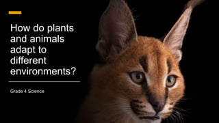 How do plants
and animals
adapt to
different
environments?
Grade 4 Science
 