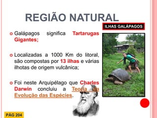 REGIÃO NATURAL 
Galápagos significa Tartarugas Gigantes; 
Localizadas a 1000 Km do litoral, são compostas por 13 ilhas e várias ilhotas de origem vulcânica; 
Foi neste Arquipélago que Charles Darwin concluiu a Teoria da Evolução das Espécies. 
ILHAS GALÁPAGOS 
PÁG 204  